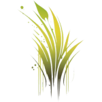 Lemongrass.com